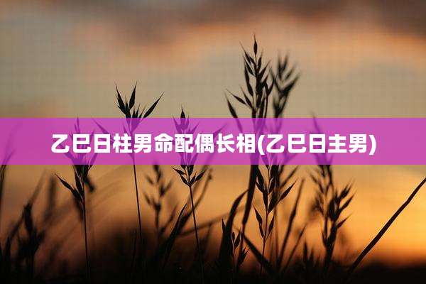 乙巳日柱男命配偶长相(乙巳日主男)
