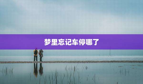 梦里忘记车停哪了