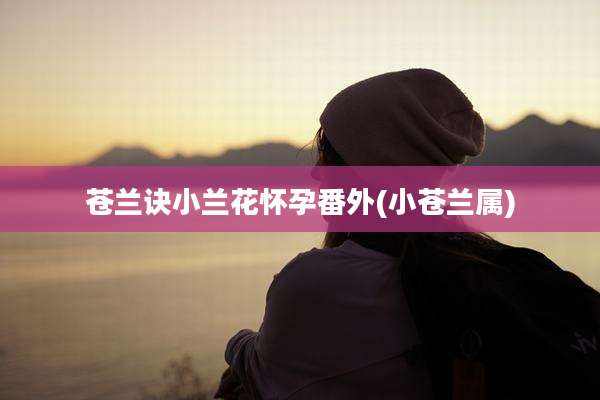 苍兰诀小兰花怀孕番外(小苍兰属)