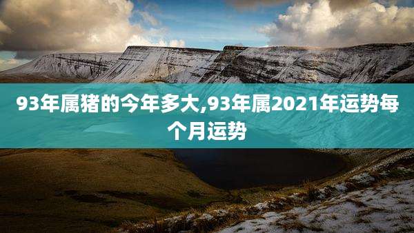 93年属猪的今年多大,93年属2021年运势每个月运势