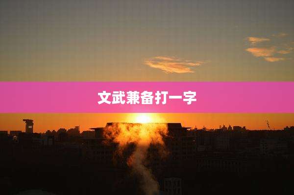 文武兼备打一字