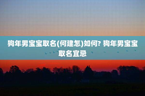 狗年男宝宝取名(何建怎)如何? 狗年男宝宝取名宜忌