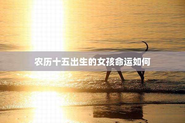 农历十五出生的女孩命运如何