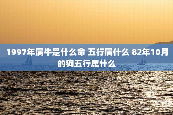 1997年属牛是什么命 五行属什么 82年10月的狗五行属什么