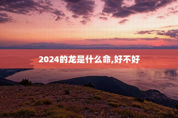 2024的龙是什么命,好不好