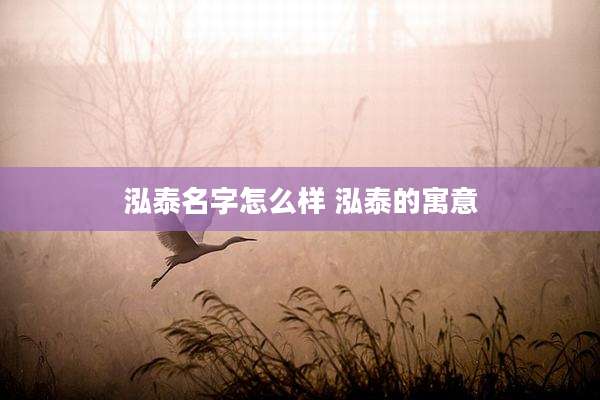 泓泰名字怎么样 泓泰的寓意