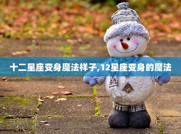 十二星座变身魔法样子,12星座变身的魔法