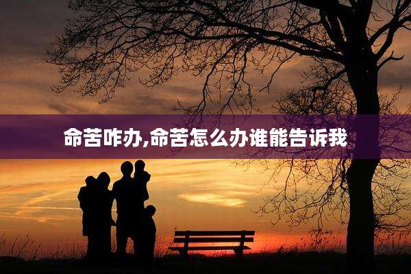 命苦咋办,命苦怎么办谁能告诉我