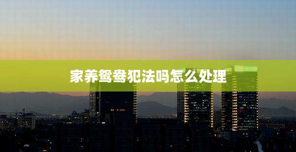 家养鸳鸯犯法吗怎么处理