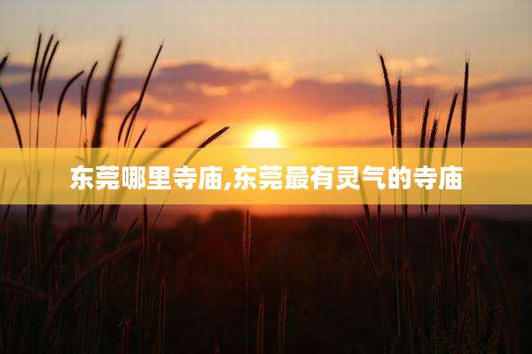 东莞哪里寺庙,东莞最有灵气的寺庙