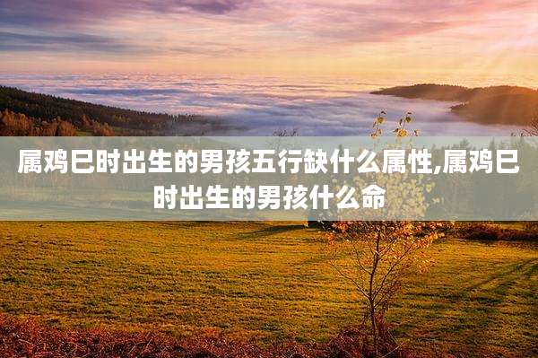 属鸡巳时出生的男孩五行缺什么属性,属鸡巳时出生的男孩什么命