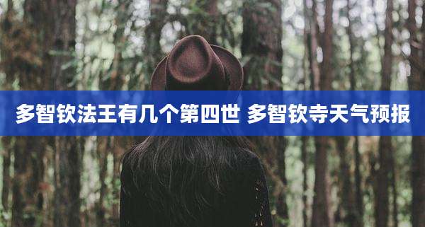 多智钦法王有几个第四世 多智钦寺天气预报
