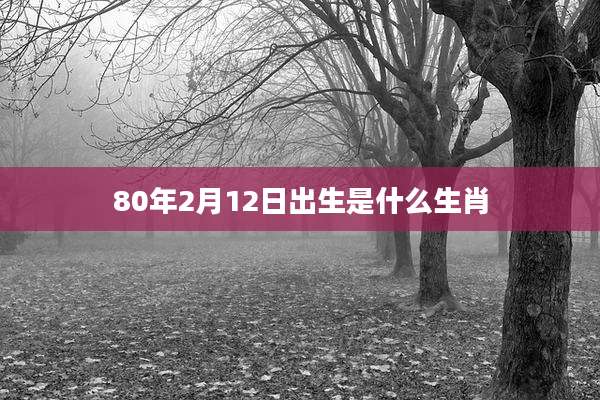 80年2月12日出生是什么生肖