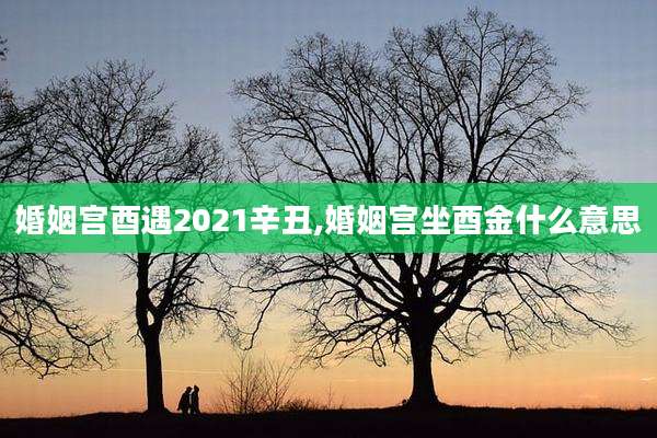 婚姻宫酉遇2021辛丑,婚姻宫坐酉金什么意思