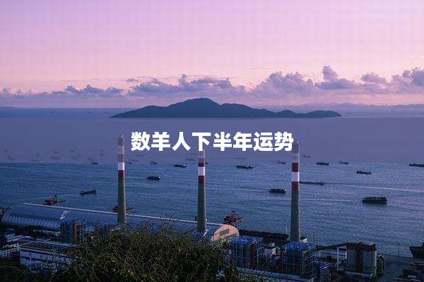 数羊人下半年运势