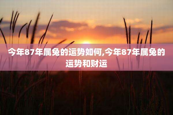 今年87年属兔的运势如何,今年87年属兔的运势和财运