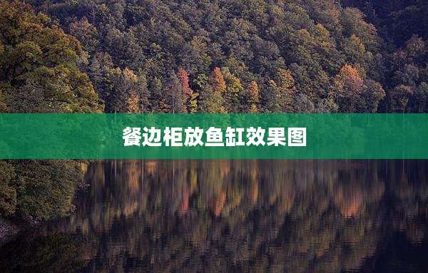餐边柜放鱼缸效果图