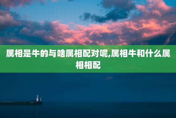 属相是牛的与啥属相配对呢,属相牛和什么属相相配