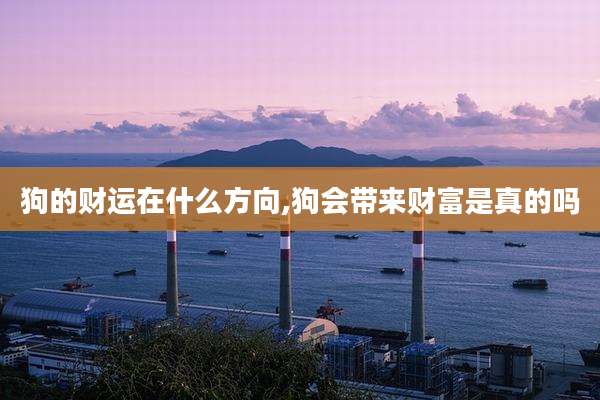 狗的财运在什么方向,狗会带来财富是真的吗