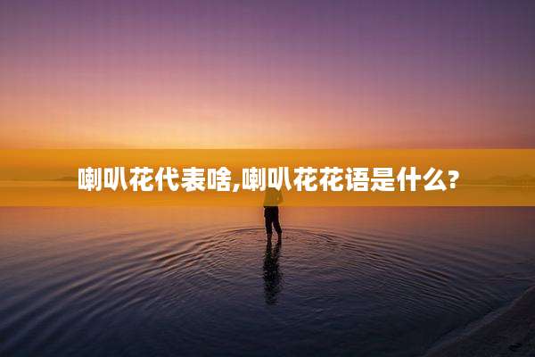 喇叭花代表啥,喇叭花花语是什么?