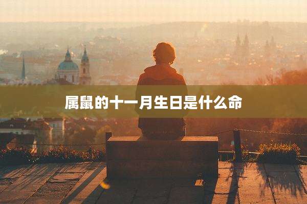 属鼠的十一月生日是什么命