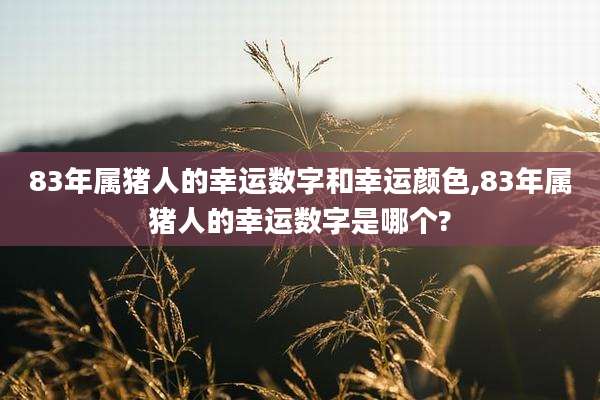 83年属猪人的幸运数字和幸运颜色,83年属猪人的幸运数字是哪个?