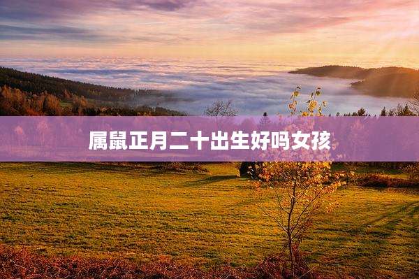 属鼠正月二十出生好吗女孩