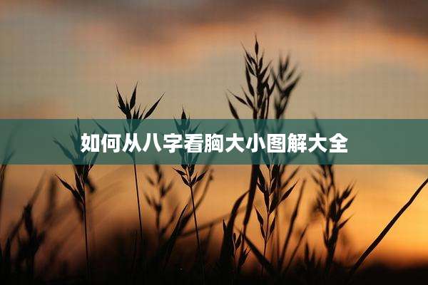 如何从八字看胸大小图解大全