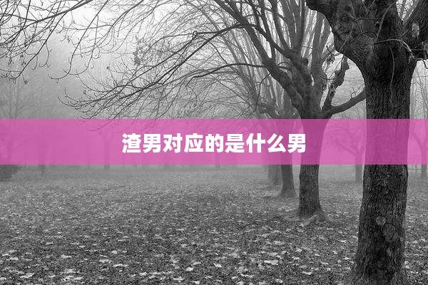 渣男对应的是什么男