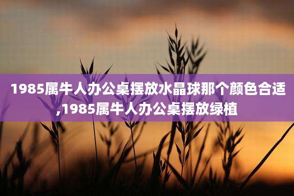 1985属牛人办公桌摆放水晶球那个颜色合适,1985属牛人办公桌摆放绿植
