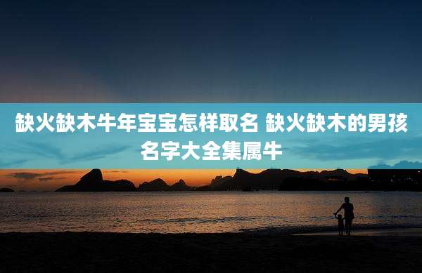 缺火缺木牛年宝宝怎样取名 缺火缺木的男孩名字大全集属牛
