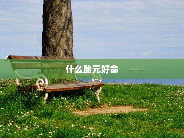 什么胎元好命