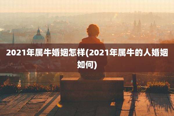 2021年属牛婚姻怎样(2021年属牛的人婚姻如何)