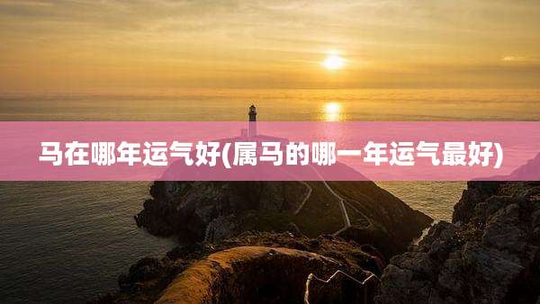 马在哪年运气好(属马的哪一年运气最好)