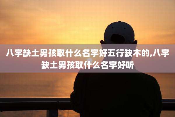 八字缺土男孩取什么名字好五行缺木的,八字缺土男孩取什么名字好听
