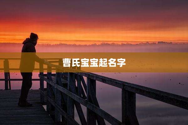 曹氏宝宝起名字