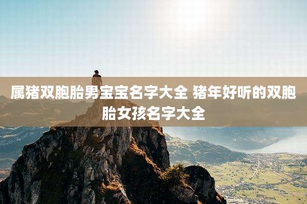 属猪双胞胎男宝宝名字大全 猪年好听的双胞胎女孩名字大全