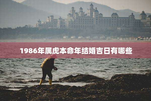 1986年属虎本命年结婚吉日有哪些