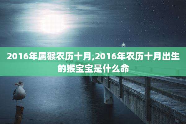 2016年属猴农历十月,2016年农历十月出生的猴宝宝是什么命