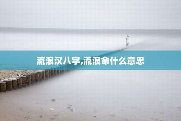 流浪汉八字,流浪命什么意思