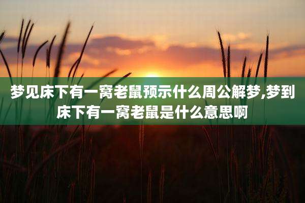 梦见床下有一窝老鼠预示什么周公解梦,梦到床下有一窝老鼠是什么意思啊