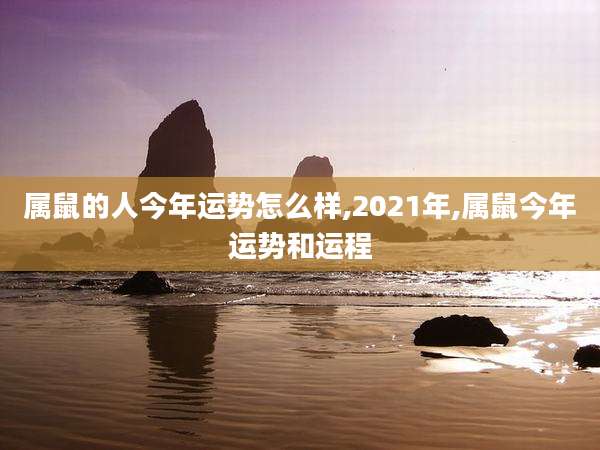 属鼠的人今年运势怎么样,2021年,属鼠今年运势和运程