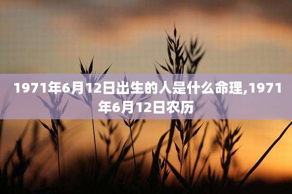 1971年6月12日出生的人是什么命理,1971年6月12日农历