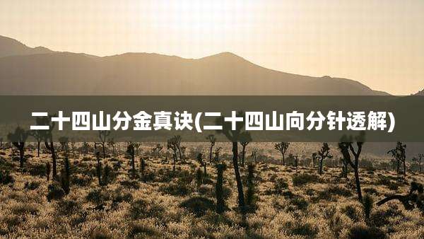 二十四山分金真诀(二十四山向分针透解)