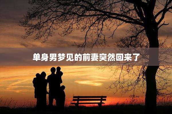 单身男梦见的前妻突然回来了