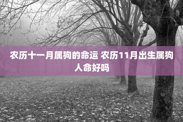 农历十一月属狗的命运 农历11月出生属狗人命好吗
