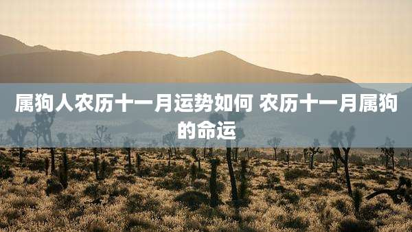 属狗人农历十一月运势如何 农历十一月属狗的命运