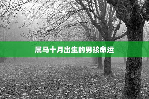 属马十月出生的男孩命运
