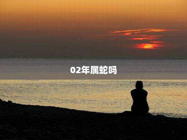 02年属蛇吗