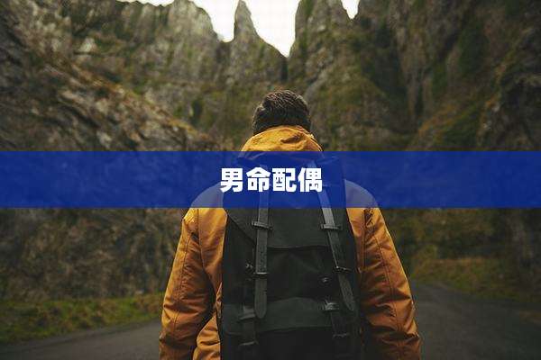 男命配偶
